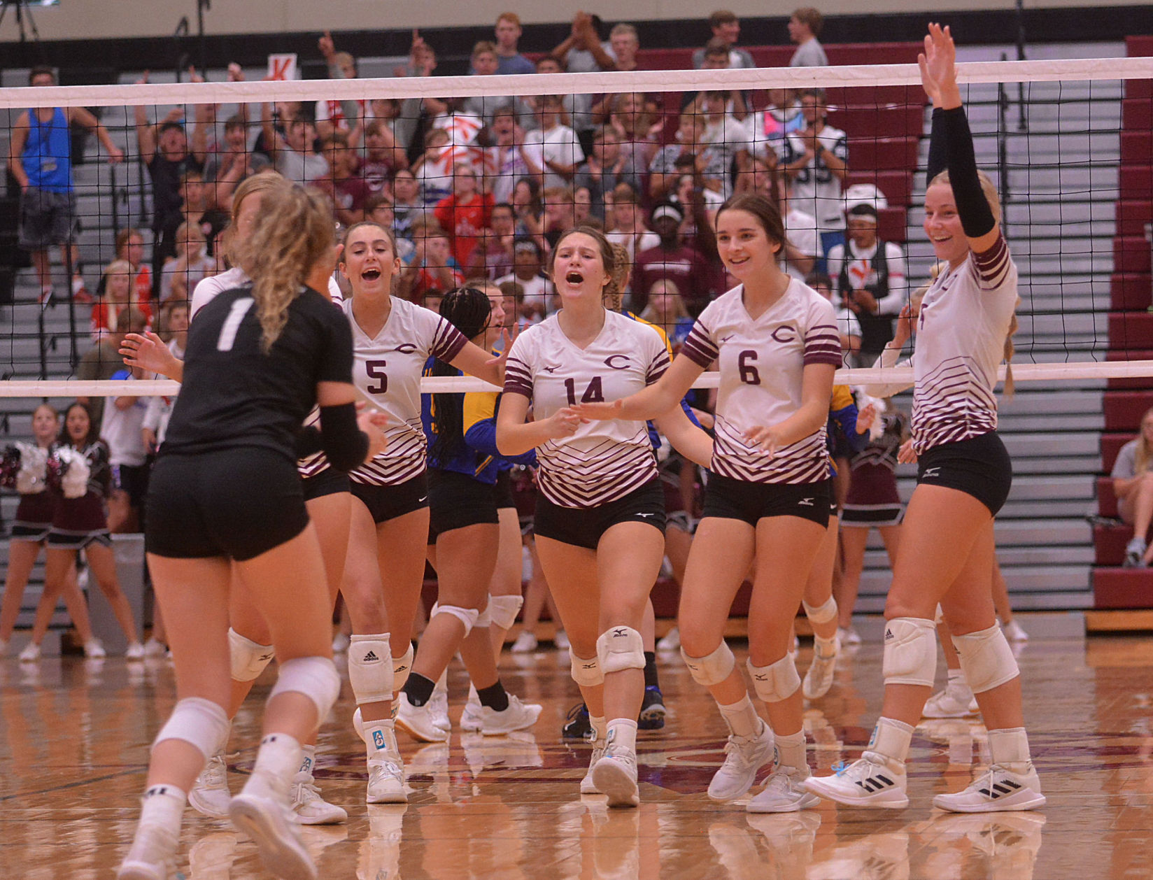 Columbus Volleyball